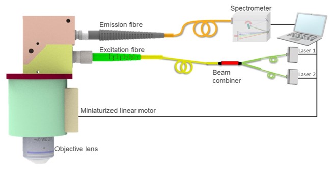 Light Path Diagram