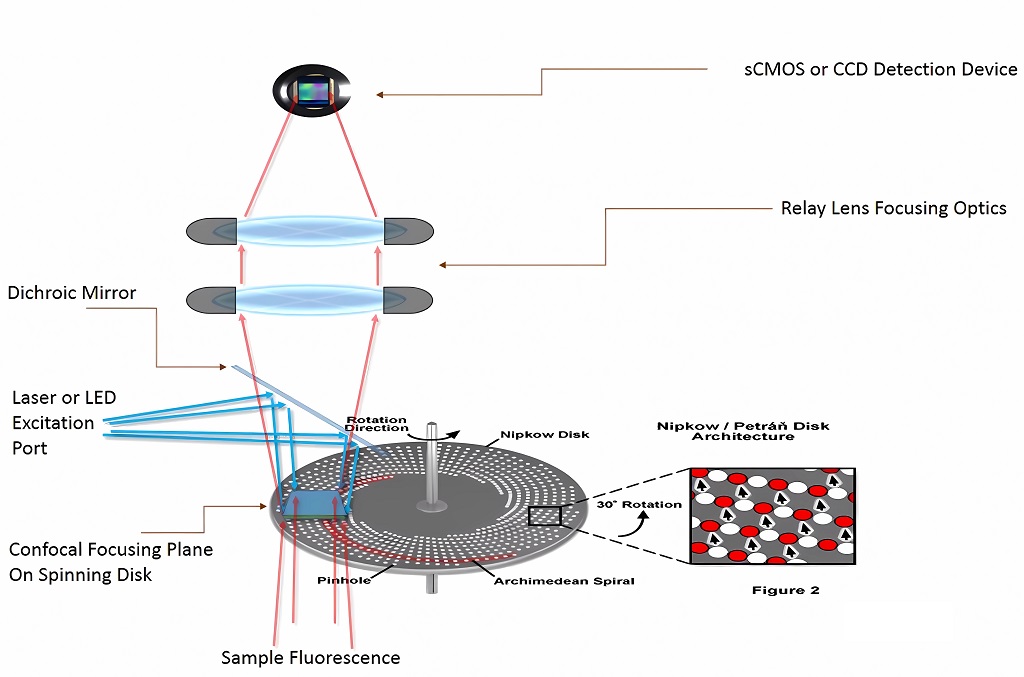 SpinDisk Basic Light Path Diagram