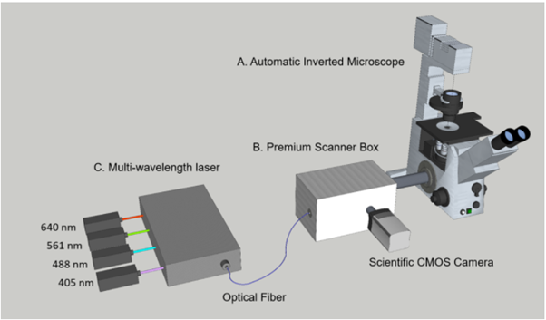 High-speed Thick Tissue Confocal Imaging Platform